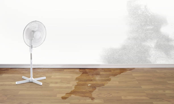 Best Basement water damage restoration  in Danbury, TX