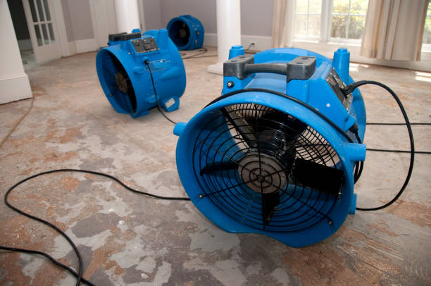 Best Flood damage cleanup  in Danbury, TX