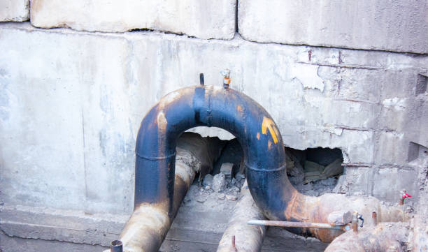 Best Water damage contractors near me  in Danbury, TX