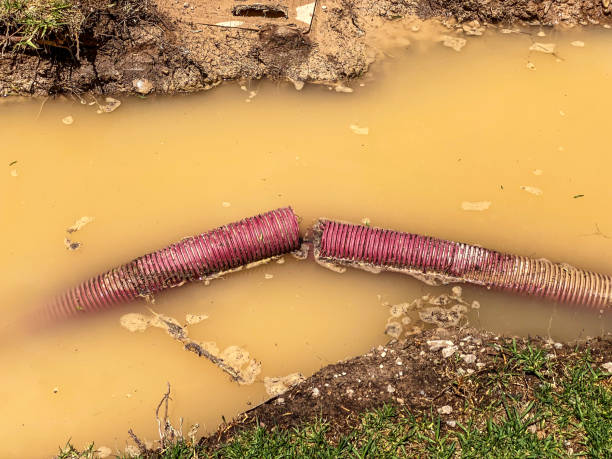 Best Flood restoration services  in Danbury, TX